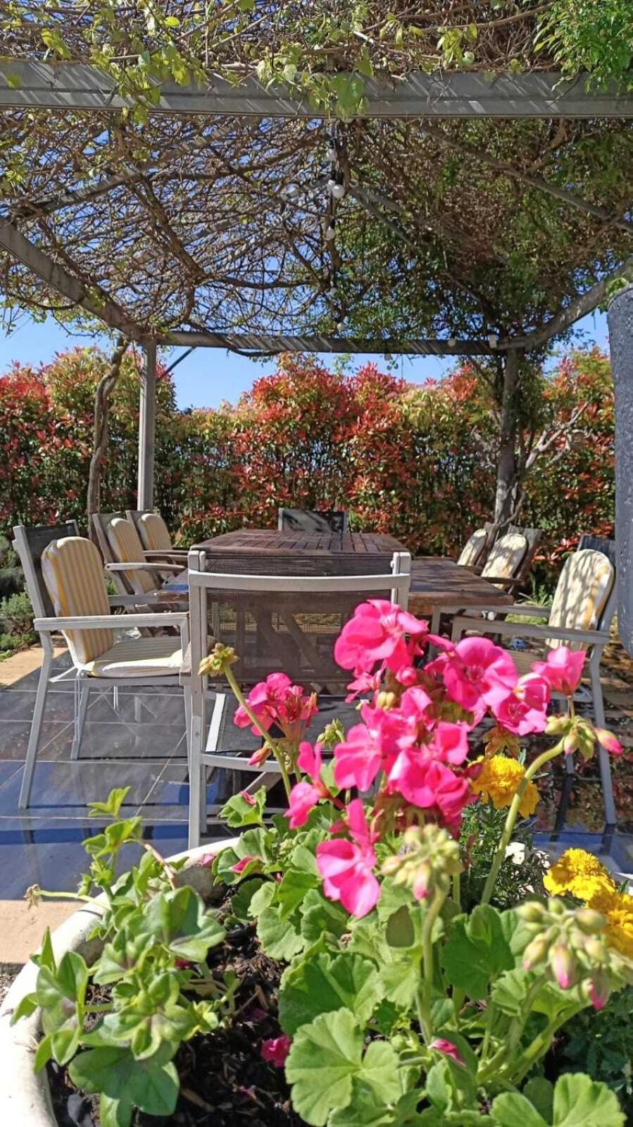 Mon Ventoux - Cozyhotes Sault-de-Vaucluse Ngoại thất bức ảnh